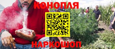 индика Апшеронск
