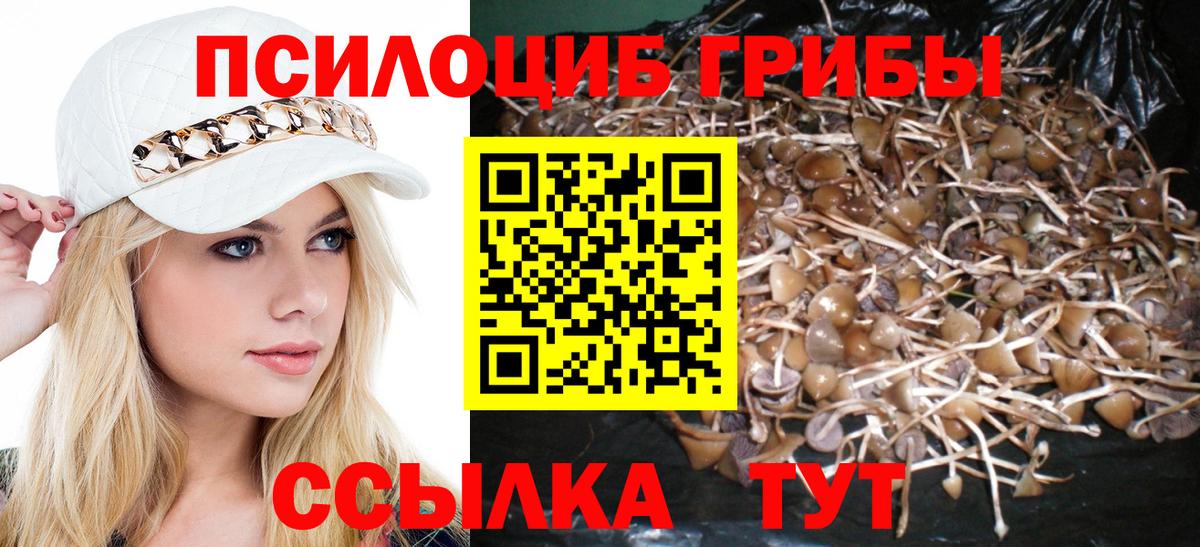 Галлюциногенные грибы ЛСД  Вход с VPN  Великий Новгород 